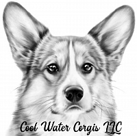 Pembroke Welsg Corgi